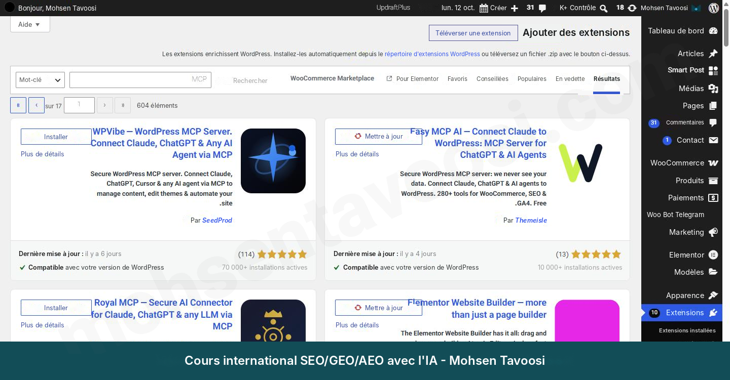 Recherche de MCP dans la page d'ajout d'extensions. Easy MCP AI est la première extension, à droite sur la capture