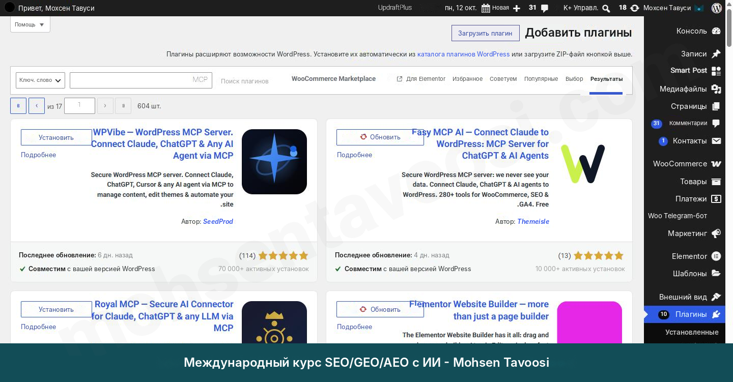 Поиск MCP в разделе добавления плагинов. Easy MCP AI — первый плагин справа