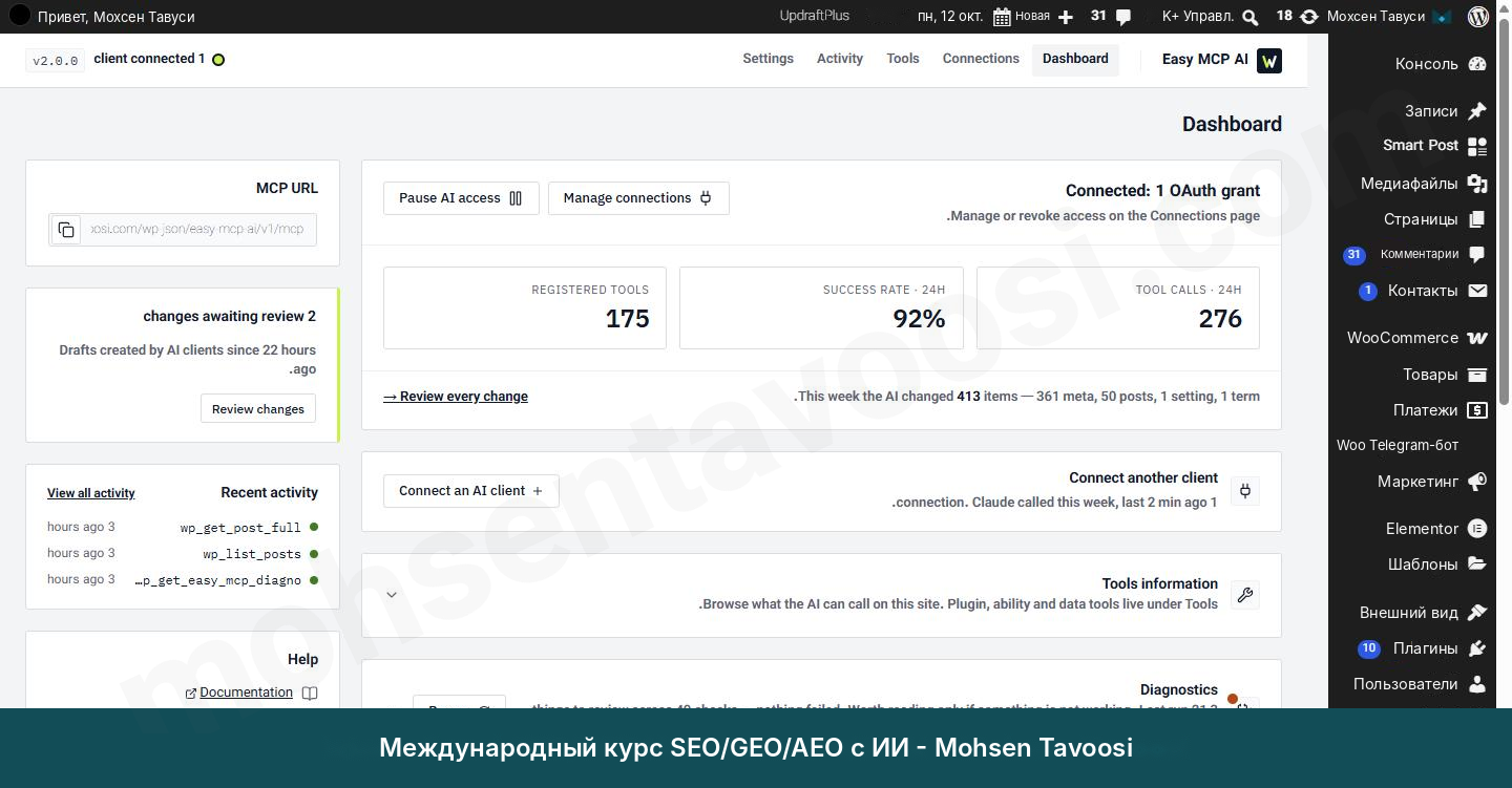 Панель Easy MCP AI. Блок MCP URL находится вверху слева
